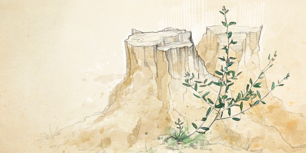 Un arbre tallat tornant a brotar