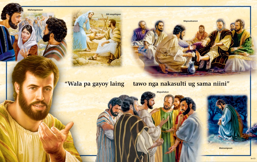 Mga hulagway sa mga panid sa likod