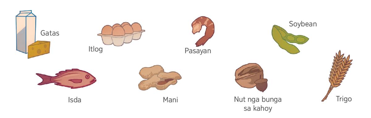 Gatas, itlog, hipon o alimango, soybean, isda, mani, nut nga bunga sa kahoy, ug trigo