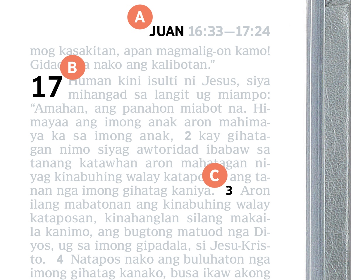 Mga label nga nagpakita sa A, B, ug C nga feature sa usa ka panid sa Bibliya.