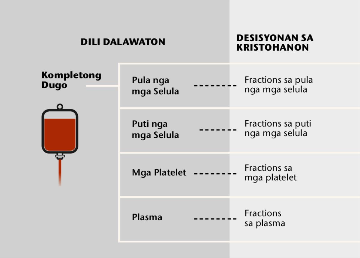 Dugo, upat ka pangunang sangkap niini, ug blood fractions