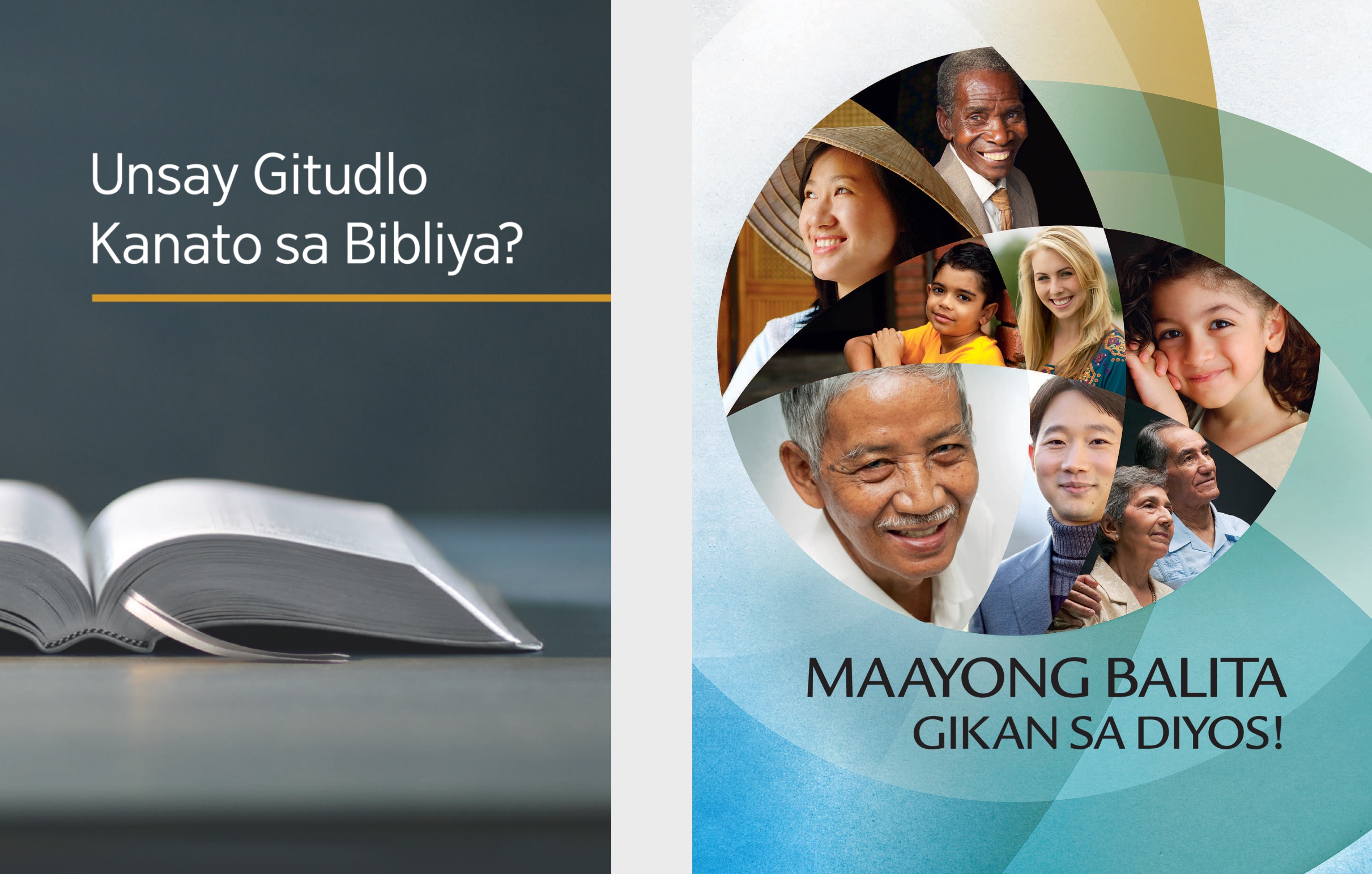 Ang librong ‘Unsay Gitudlo Kanato sa Bibliya?’ ug ang brosyur nga ‘Maayong Balita Gikan sa Diyos!’