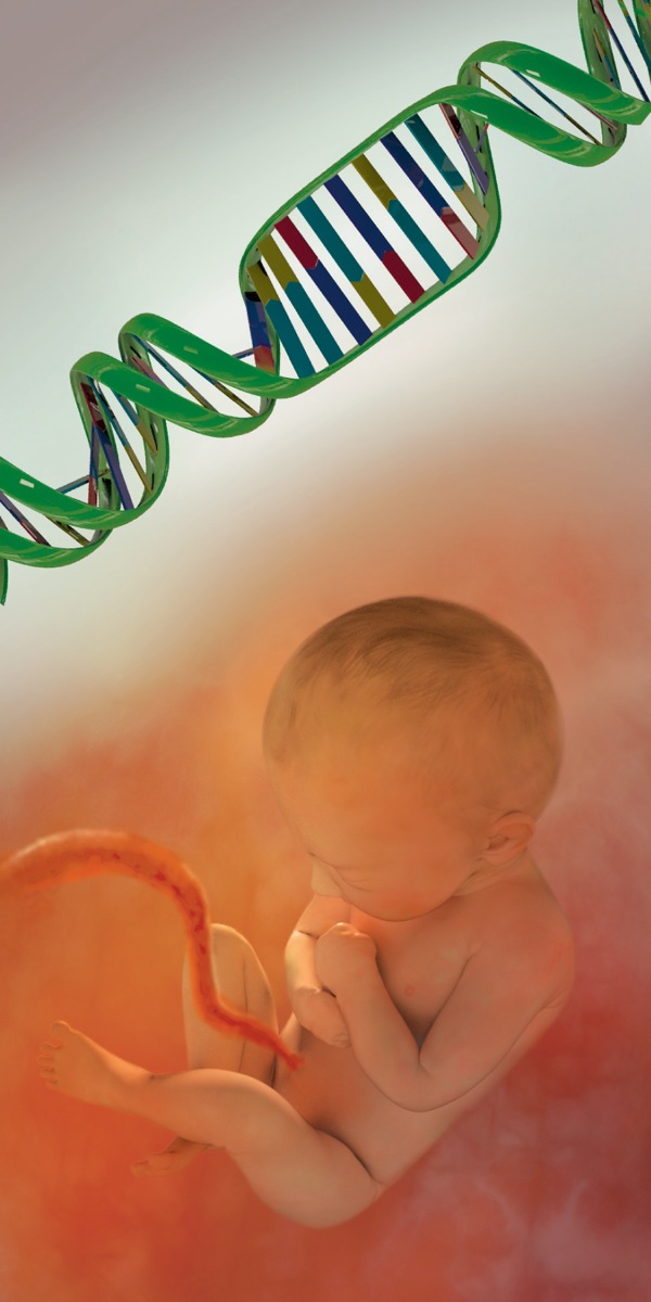Ang DNA ug ang tagoangkan