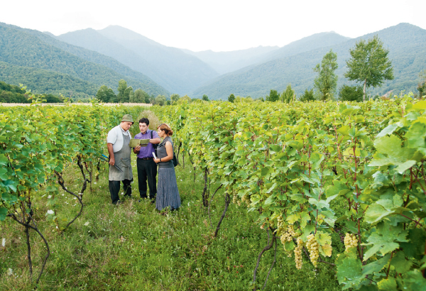 [Hulagway sa panid 68]