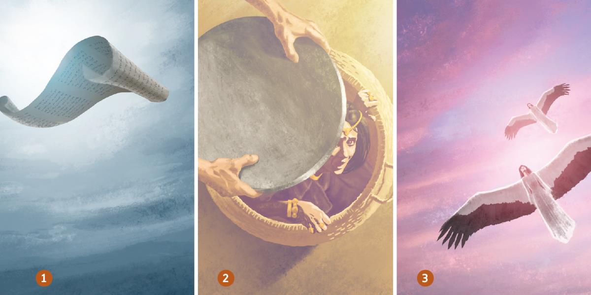 En roulo ki pe anvole, en madanm ki pe asize dan en pannyen e de madanm ki ti annan bann lezel parey pelikan pe anvole dan divan