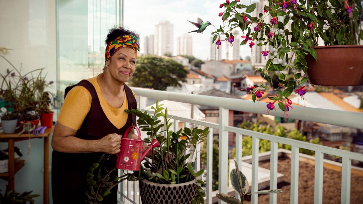 En ser ki reste dan en gran lavil i lo son balkon pe aroz son bann plant e pe admir en kolibri ki pe rod manze dan bann fler.