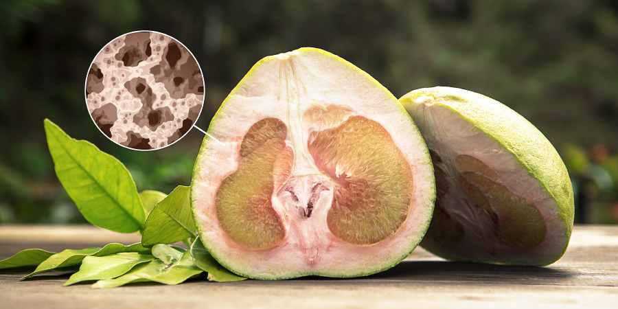 Pomelo rozříznuté na půl, aby byla vidět houbovitá struktura kůry. Vložený obrázek ukazuje, jak vypadají dutinky v kůře pod mikroskopem