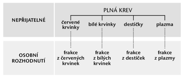 Krev, její čtyři hlavní složky a krevní frakce