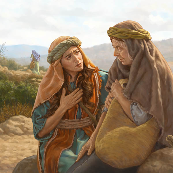 Strážná věž (studijní vydání), listopad 2021