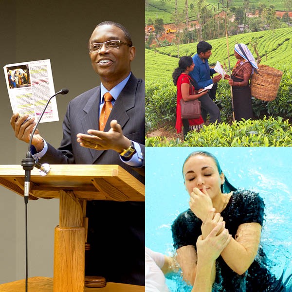 Portada del libro Organizados para hacer la voluntad de Jehová