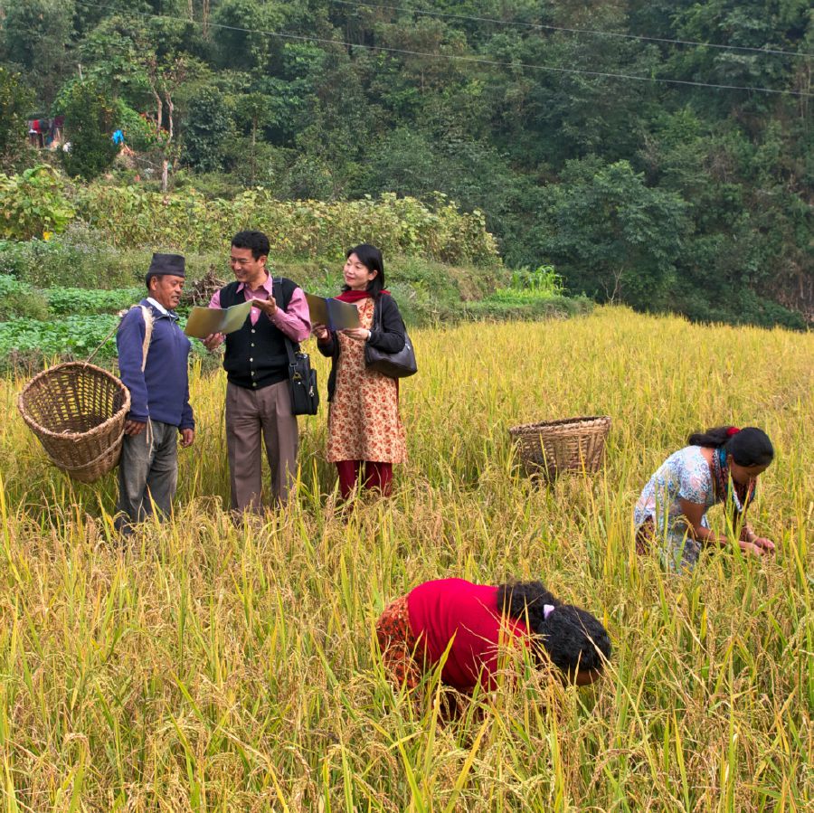 Иегова Свидетелӗсем ырӑ хыпар сараҫҫӗ