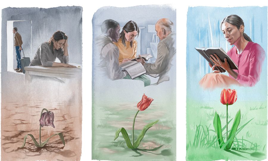 Упӑшки пӑрахса кайнӑ хыҫҫӑн хӗрарӑм тӑван хуйха ӳкнӗ; унпа старейшинӑсем калаҫаҫҫӗ; вӑл Библи вуласа чунне лӑплантарать