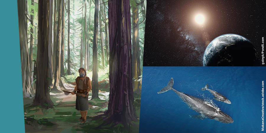 Collage: 1. Noa står med en økse og ser på de høje træer i en skov. 2. Jorden, stjernerne og solen set fra rummet. 3. Et luftfoto af en hval med dens unge.