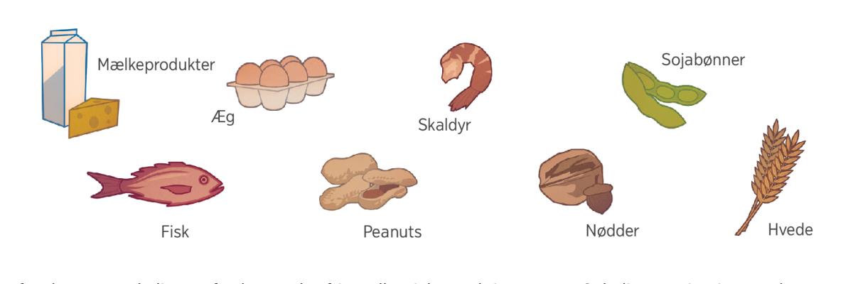 Mælkeprodukter, æg, skaldyr, sojabønner, fisk, peanuts, nødder og hvede