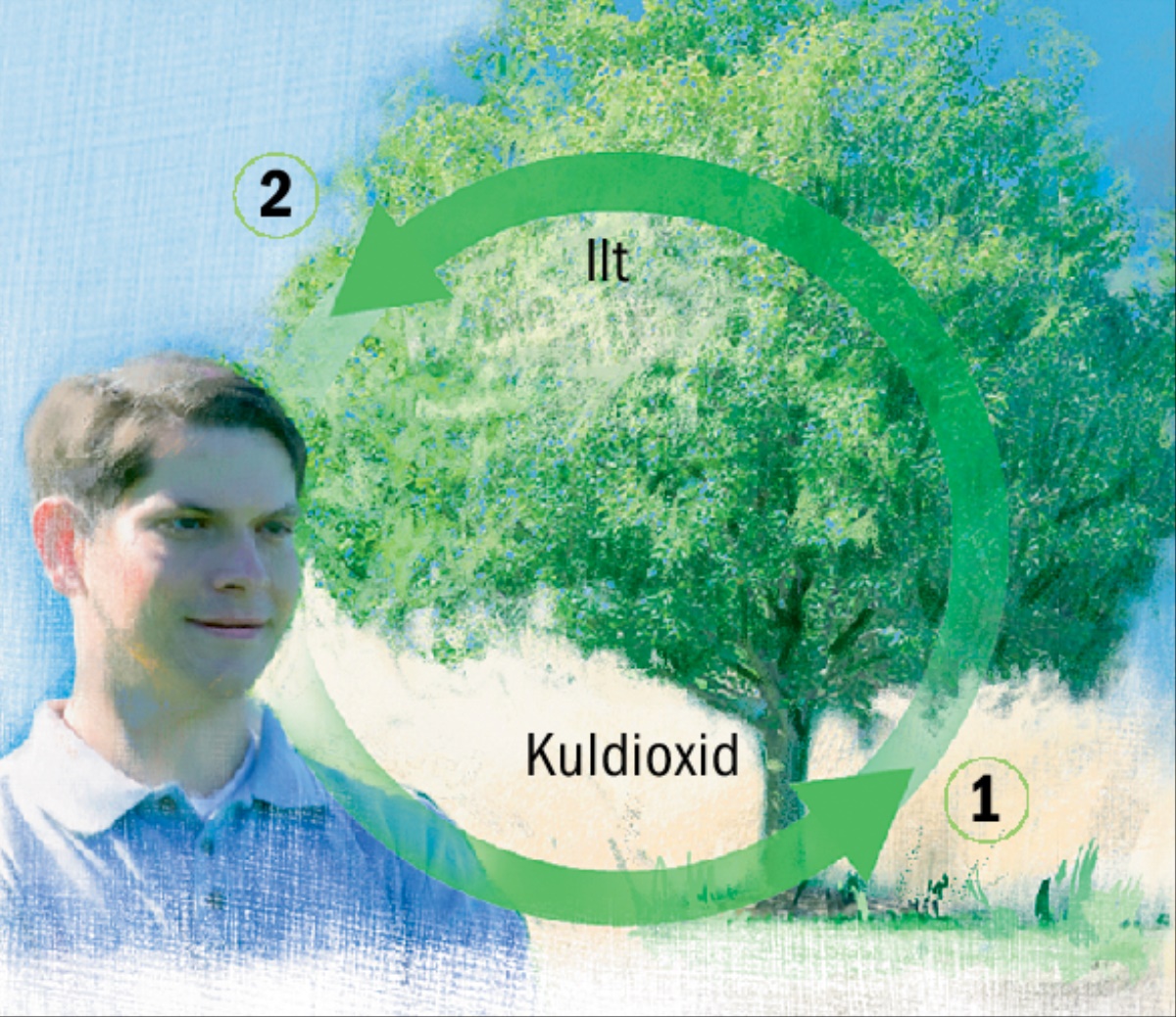 Kulstof- og iltkredsløbene