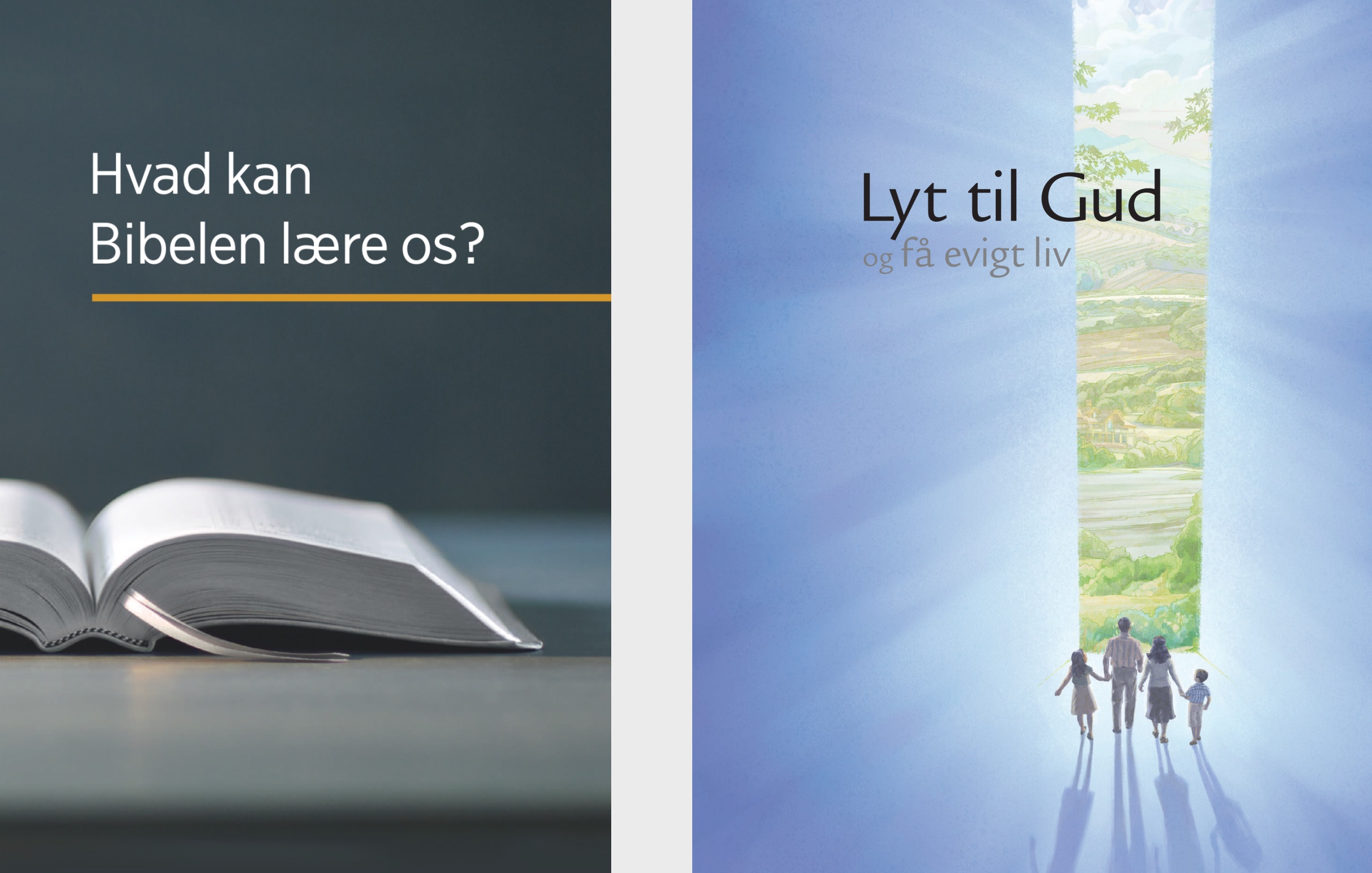 Bogen ‘Hvad kan Bibelen lære os?’ og brochuren ‘Lyt til Gud og få evigt liv’