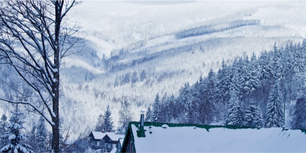 [Illustration på side 5]