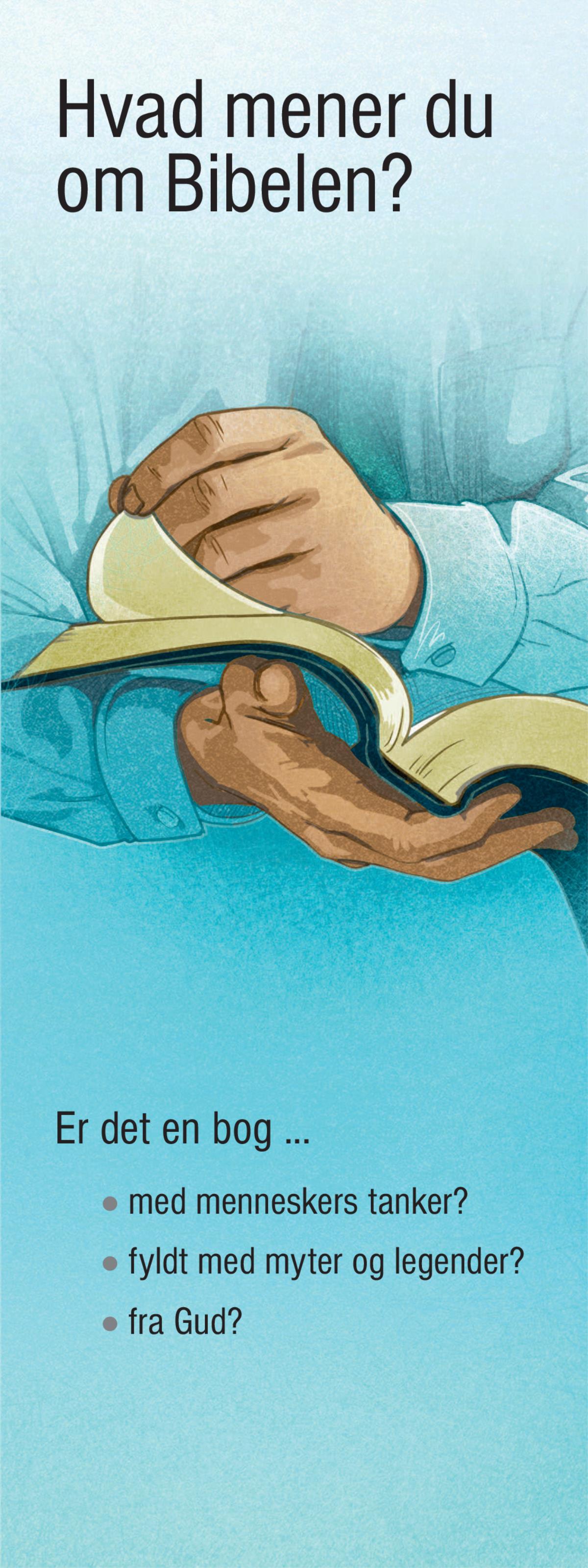 Hvad mener du om Bibelen?