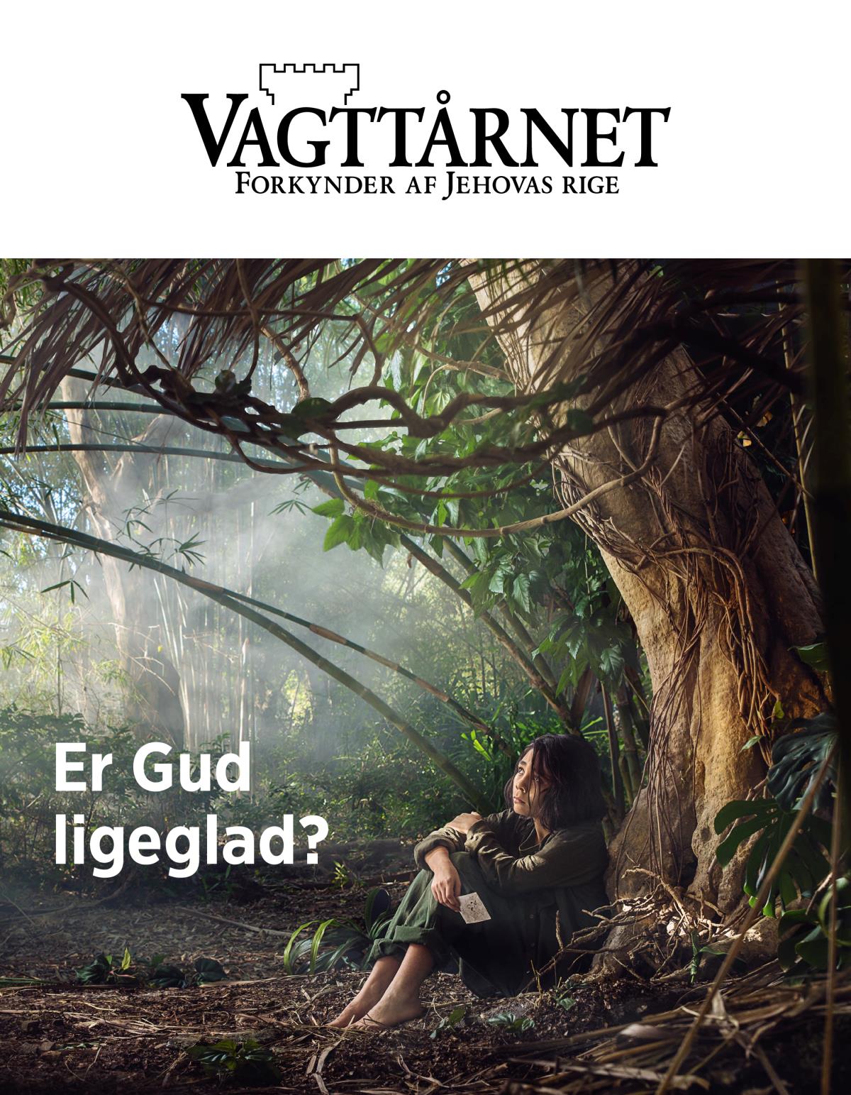 Bladet Vagttårnet, nr. 3, 2018 | Er Gud ligeglad?