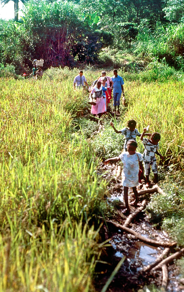 Illustration på side 125