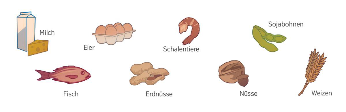 Milch, Eier, Schalentiere, Sojabohnen, Fisch, Erdnüsse, Nüsse, Weizen