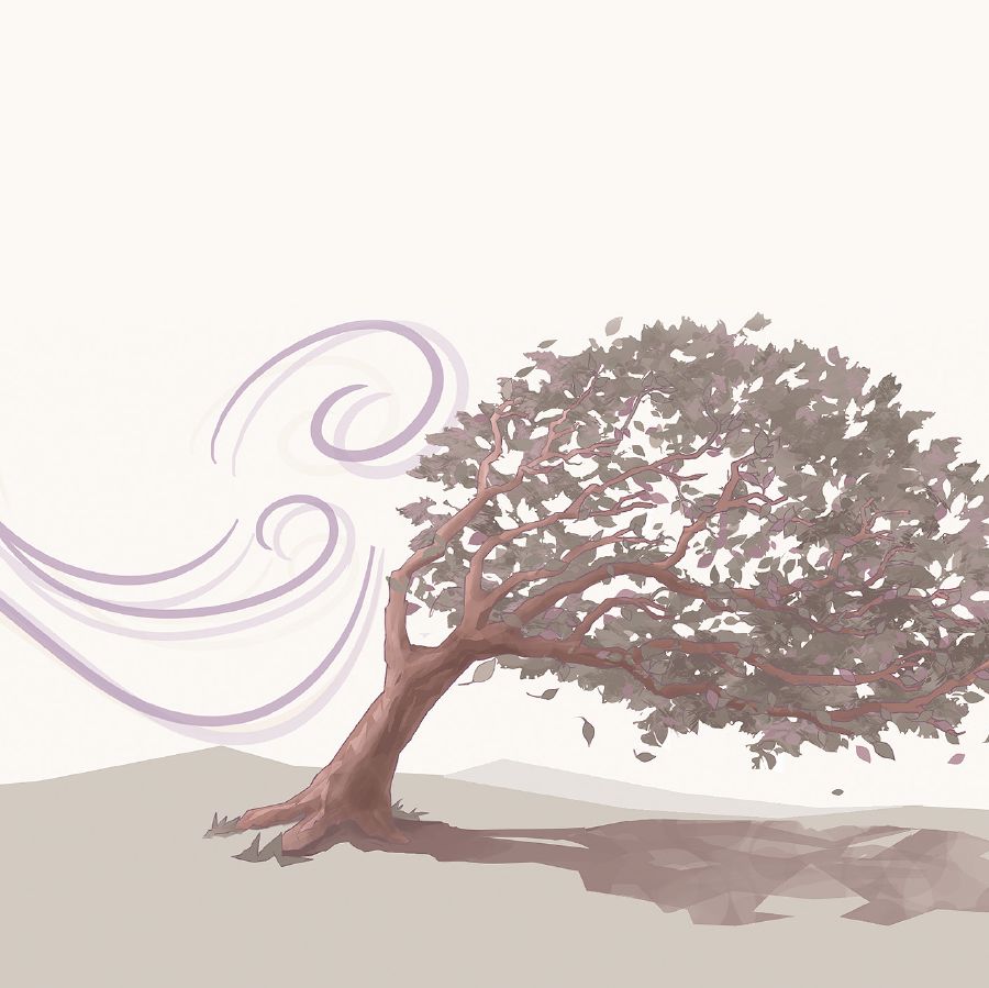 Ein Baum biegt sich im Wind