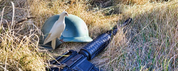 Eine Taube, ein Soldatenhelm und ein Gewehr