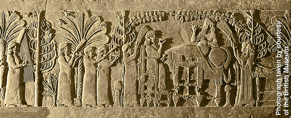 [Bild auf Seite 220]