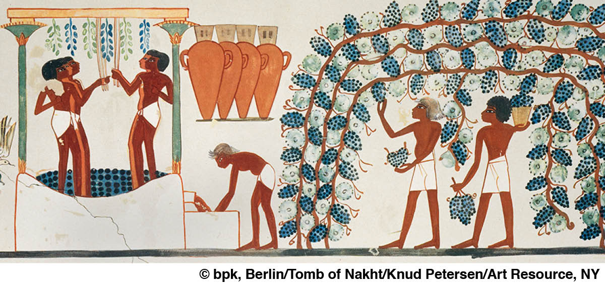 [Bild auf Seite 1401]