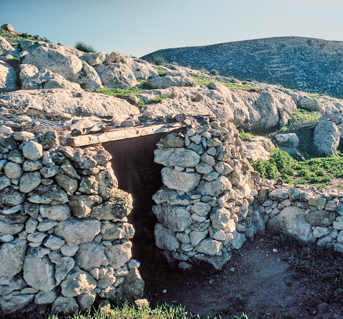 [Bild auf Seite 813]