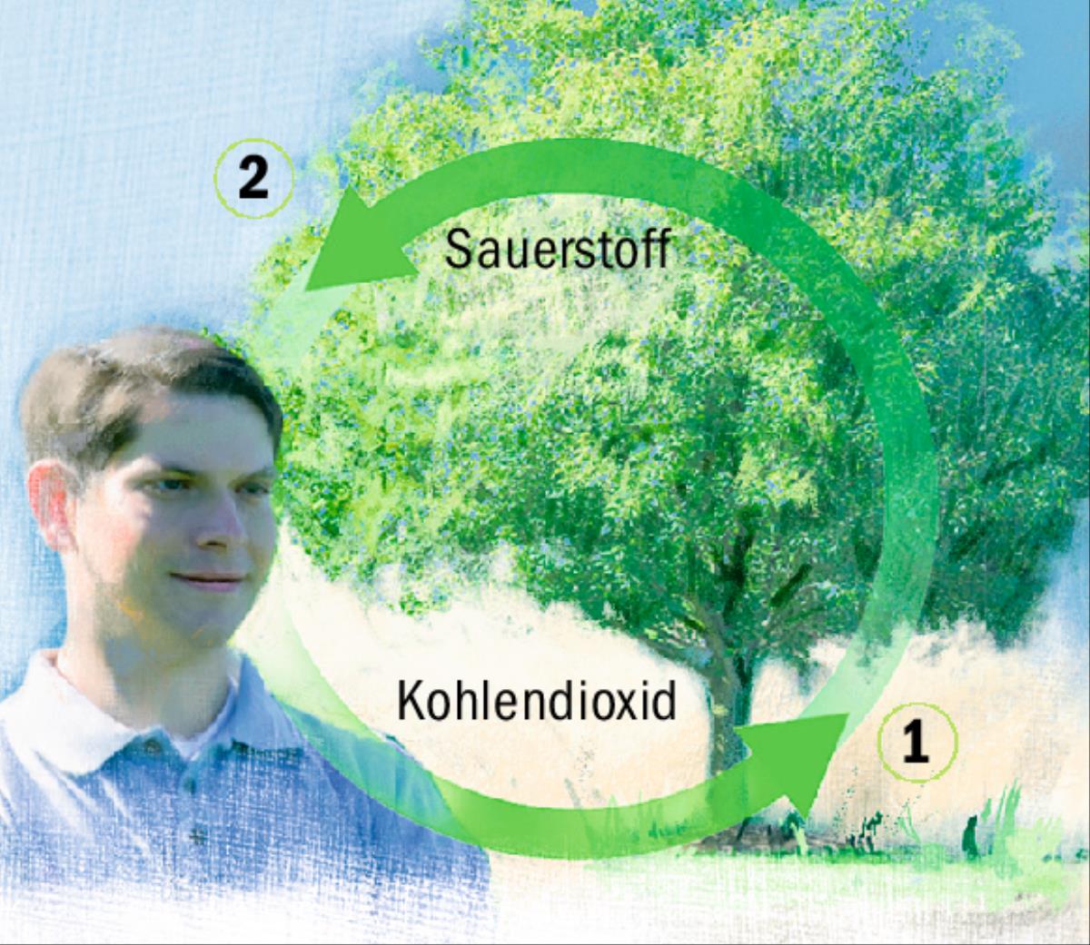 Der Kohlenstoff- und Sauerstoffkreislauf