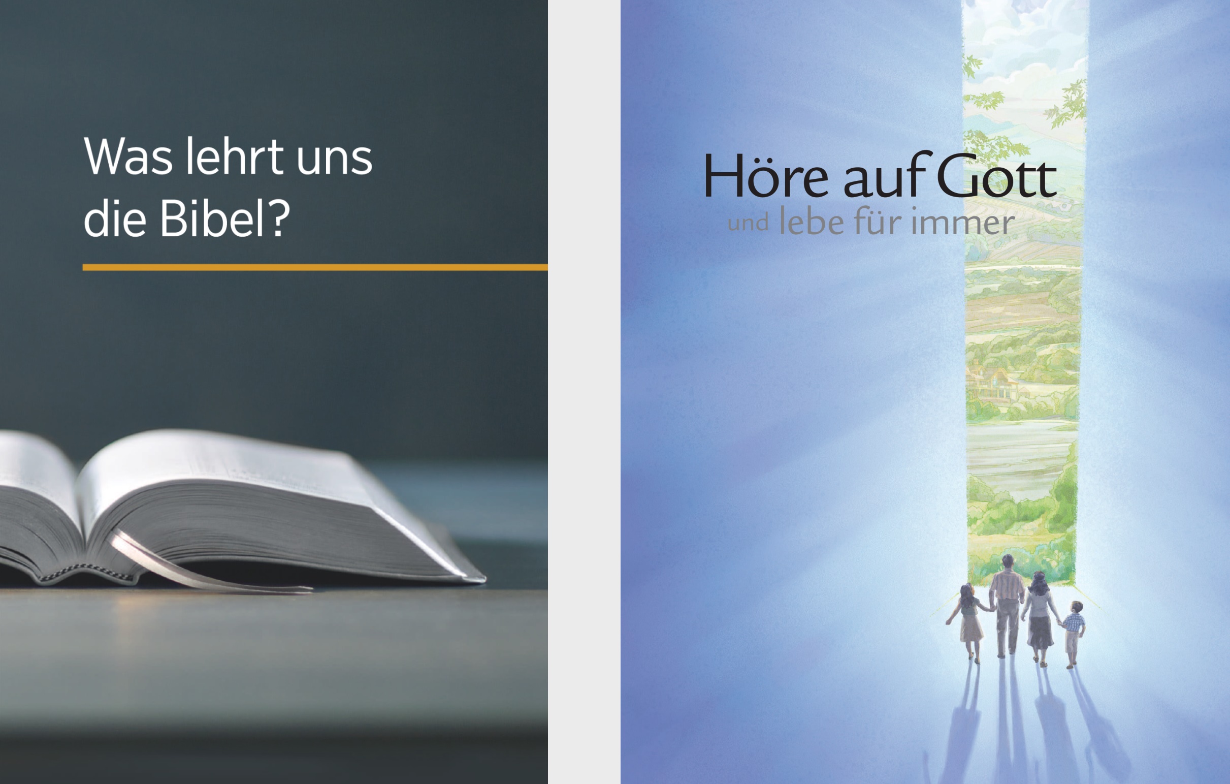 Das Buch „Was lehrt uns die Bibel“ und die Broschüre „Höre auf Gott und lebe für immer“.