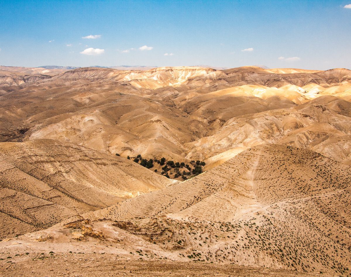 Wildnis von Judäa (westlich des Jordan)
