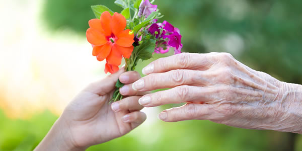 Ein Blumensträußchen, das schließlich verwelken wird