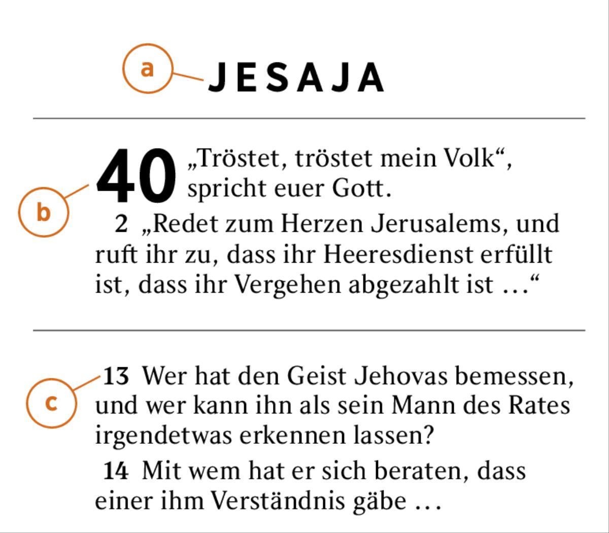 Ein Ausschnitt der Bibel, an dem erklärt wird, was a) das Bibelbuch, b) das Kapitel und c) der Vers ist