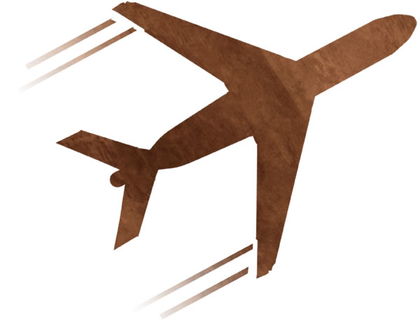 An airplane in flight