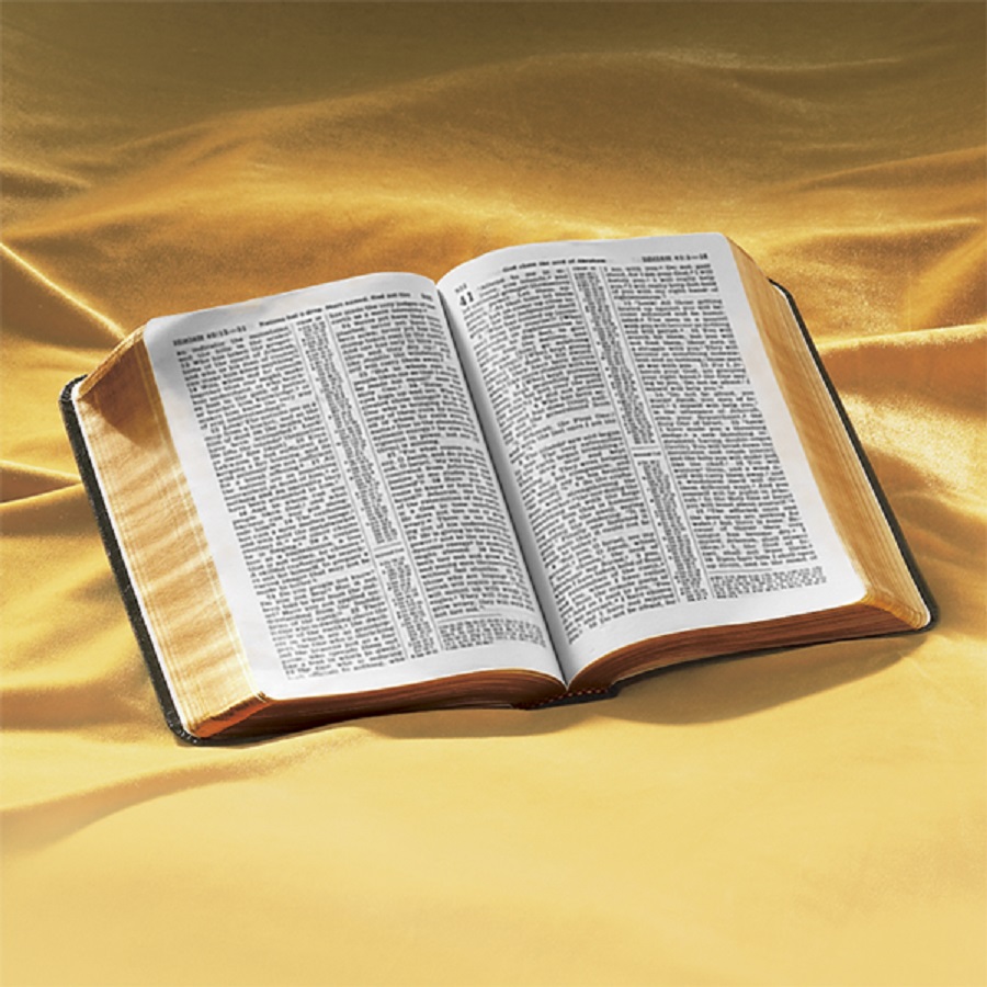 El libro ¿Qué nos enseña la Biblia?