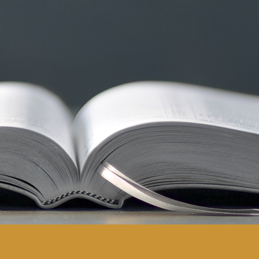 ¿Qué nos enseña la Biblia?