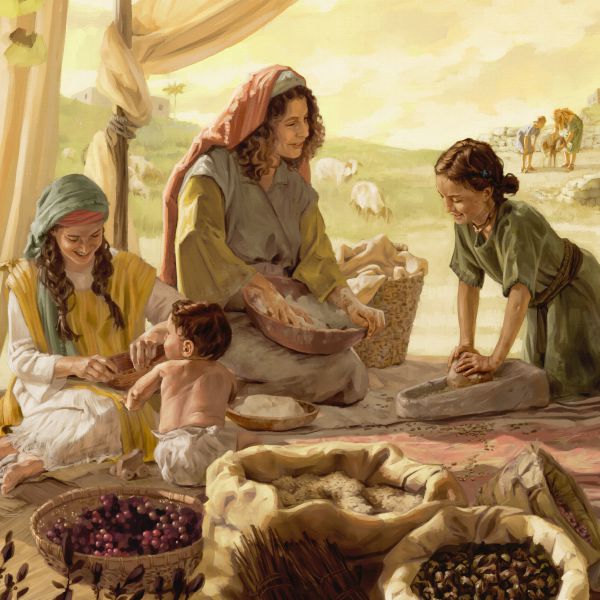 La Atalaya (edición de estudio), febrero de 2019