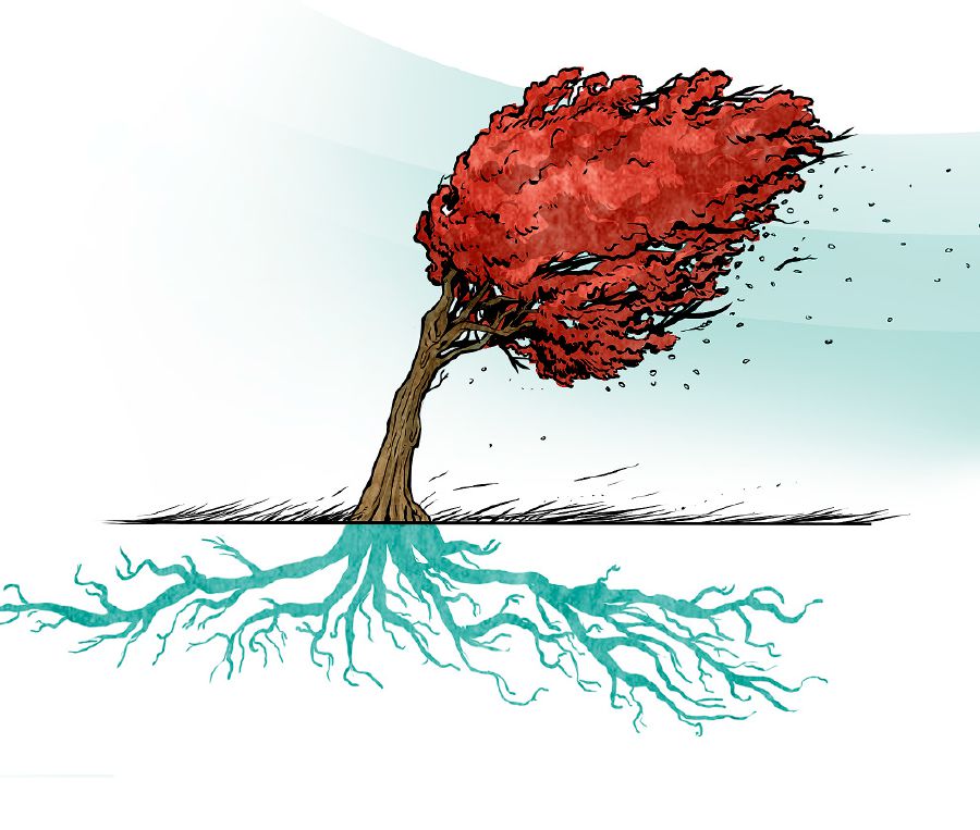 Un árbol de raíces profundas aguanta un viento fuerte