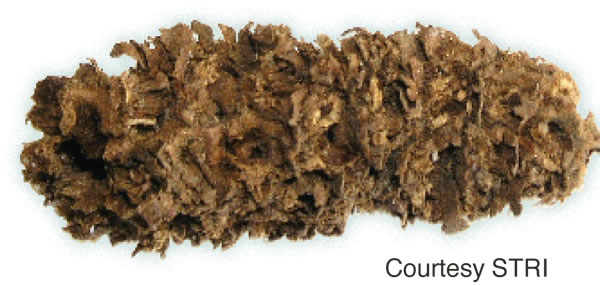 [Ebiet Ẹdade N̄kpọ Ẹto]