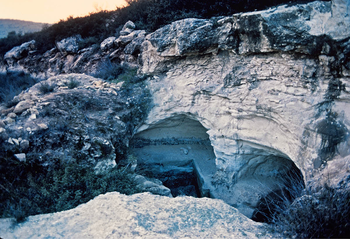 [Εικόνα στη σελίδα 325