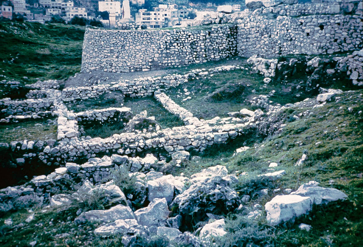 [Εικόνα στη σελίδα 530]