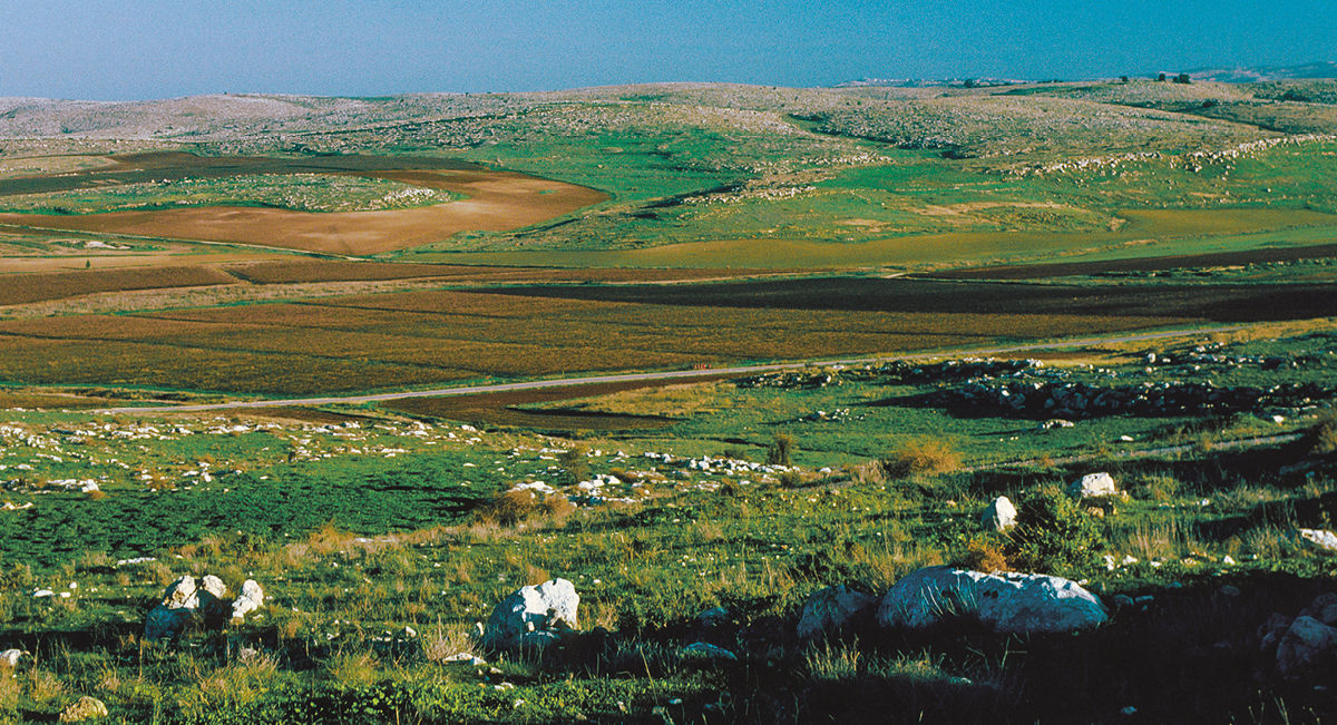 [Εικόνα στη σελίδα 116]