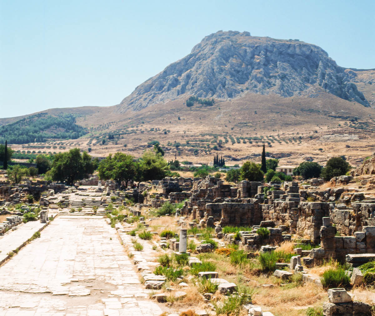 [Εικόνα στη σελίδα 336]