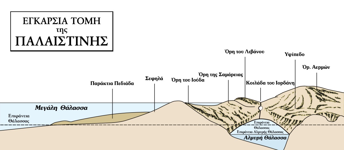 [Διάγραμμα στη σελίδα 575]