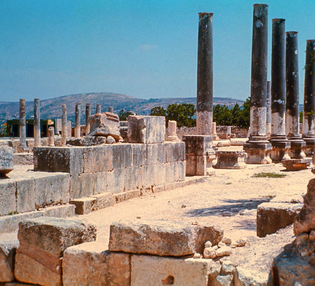 [Εικόνα στη σελίδα 872]