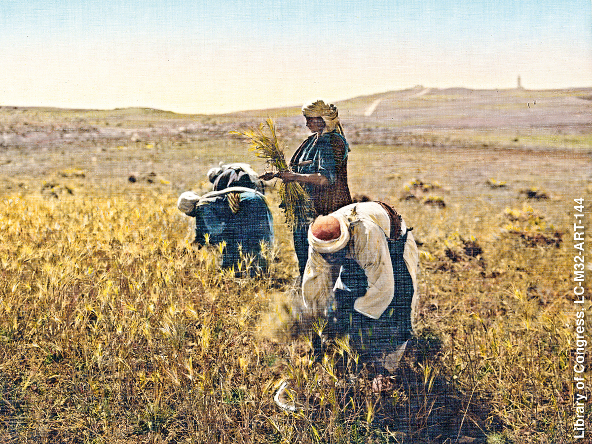 [Εικόνα στη σελίδα 953]