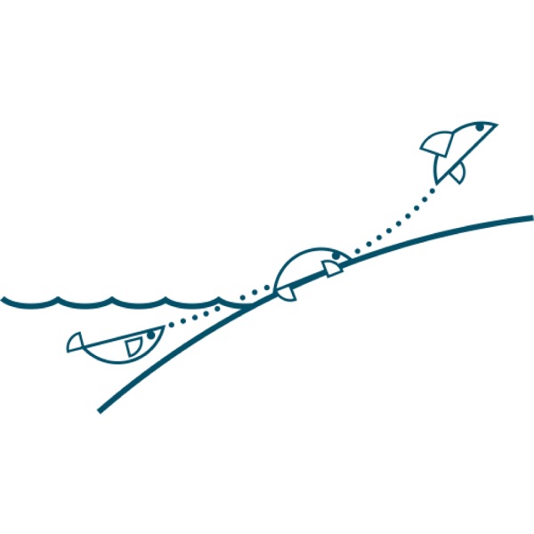 Theoretical process of evolution