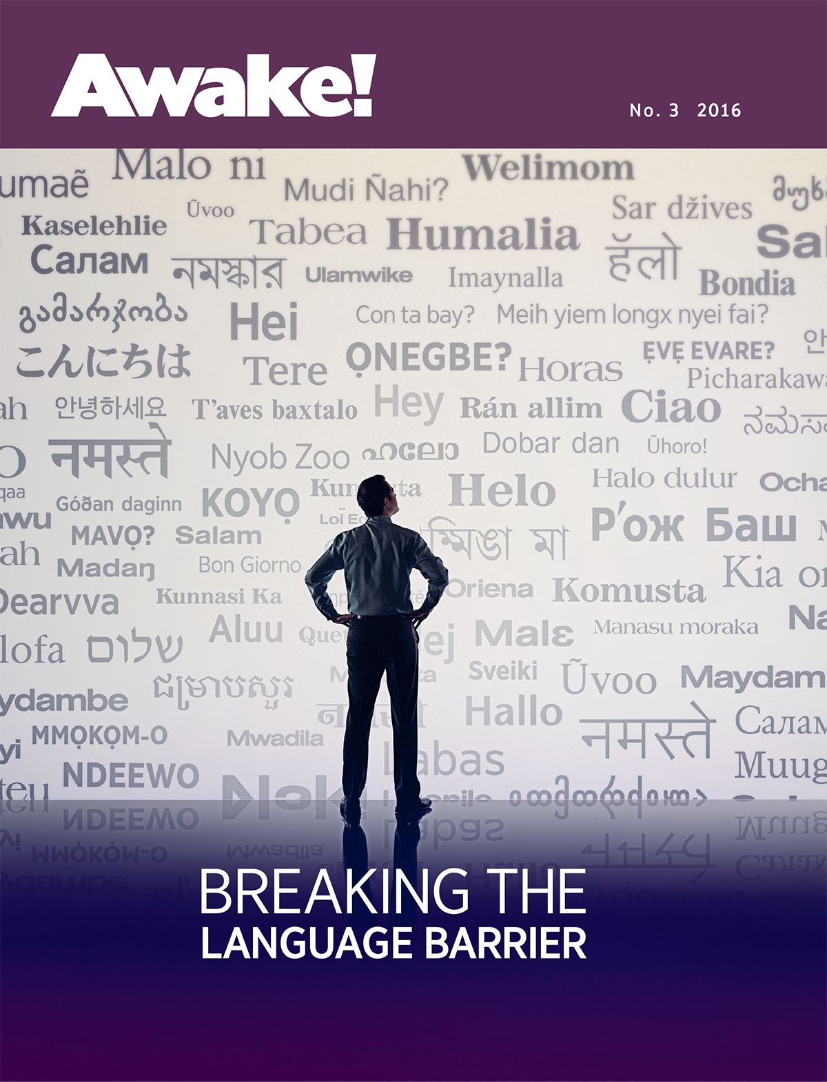 Awake! magazine, No. 3 2016 | Breaking the Language Barrier